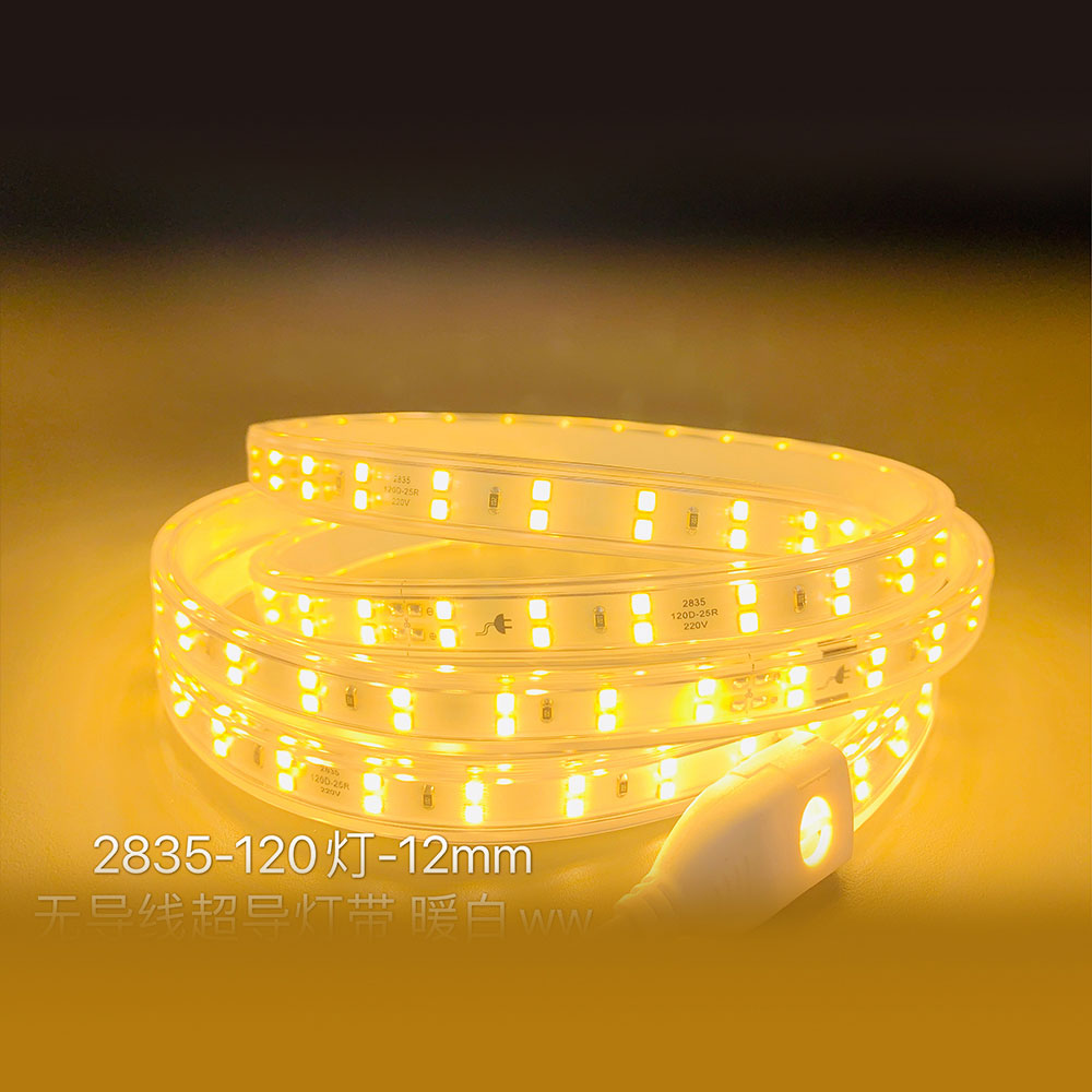 2835-120灯-12mm